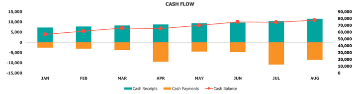 Cash Management Dashboard Cash Flow Chart By Month