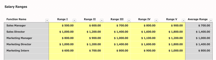 Staffing Excel Template Salary Ranges Inputs